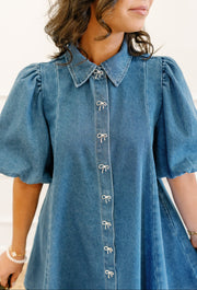 Pretty Little Puff Sleeve Denim Mini Dress